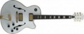/album/les-differentes-guitare/imgcontrol-hollow-body-jpg/